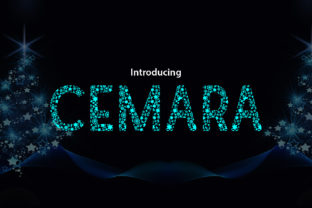 Cemara Font for a Playful and Professional Brand Look