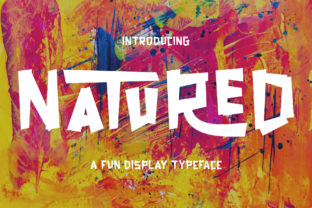 Natured: A Playful Display Font for Bold Web Design